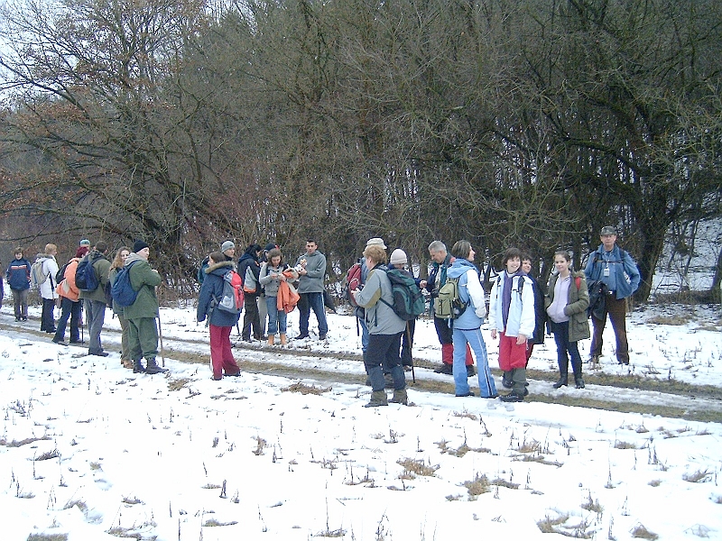 20100220 071.jpg